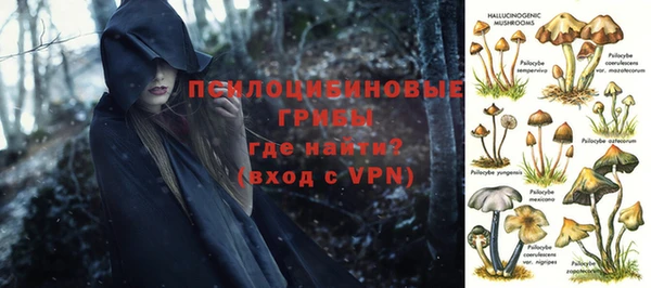 ALPHA PVP Аркадак